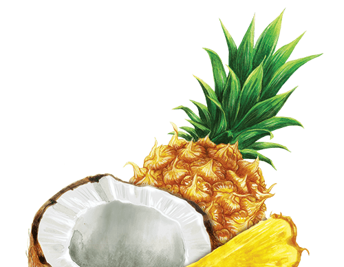 pineapples and coconuts