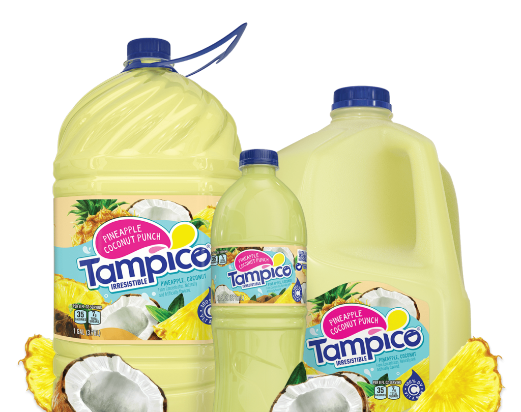 Pineapple Coconut Fruit Dip Tampico Beverages