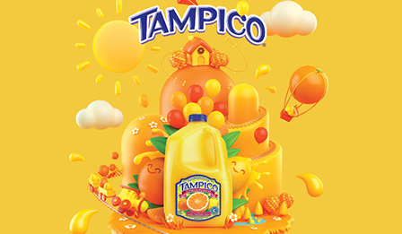Tampico's Flavor World